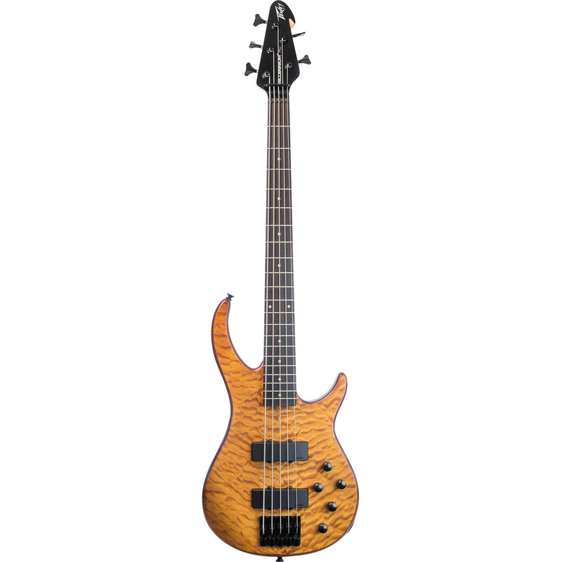 Peavey millennium ac bxp 5 discount